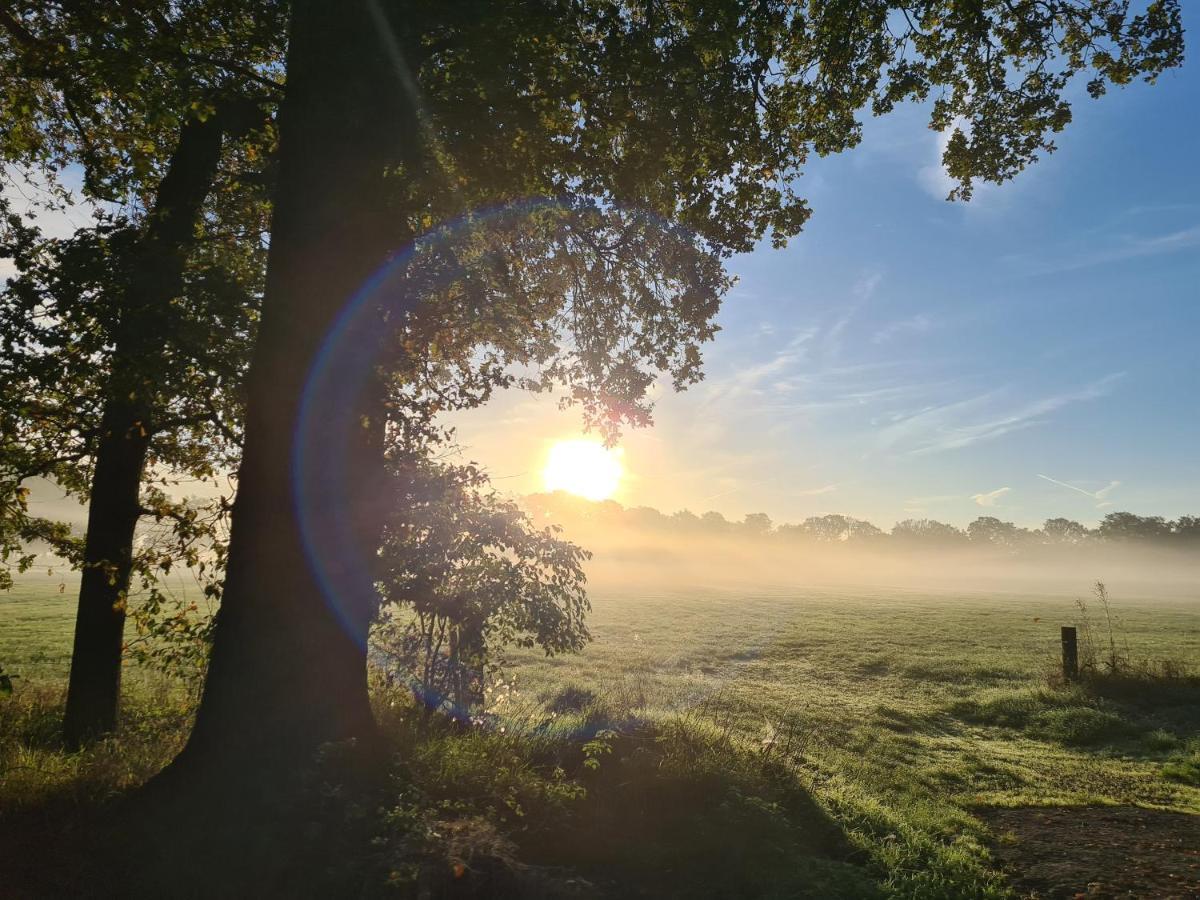 Ferienwohnung In Den Wiesen Wesel  Bagian luar foto